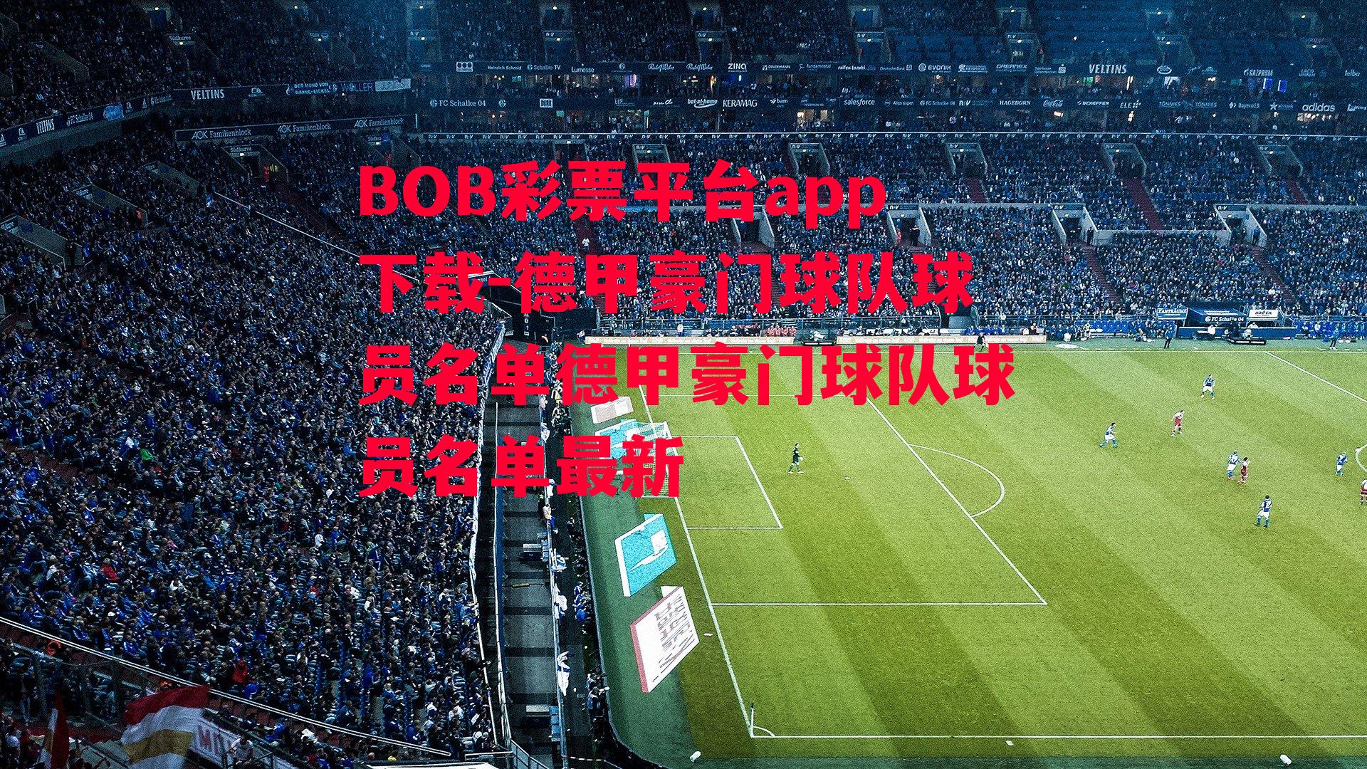 BOB彩票平台app下载-德甲豪门球队球员名单德甲豪门球队球员名单最新